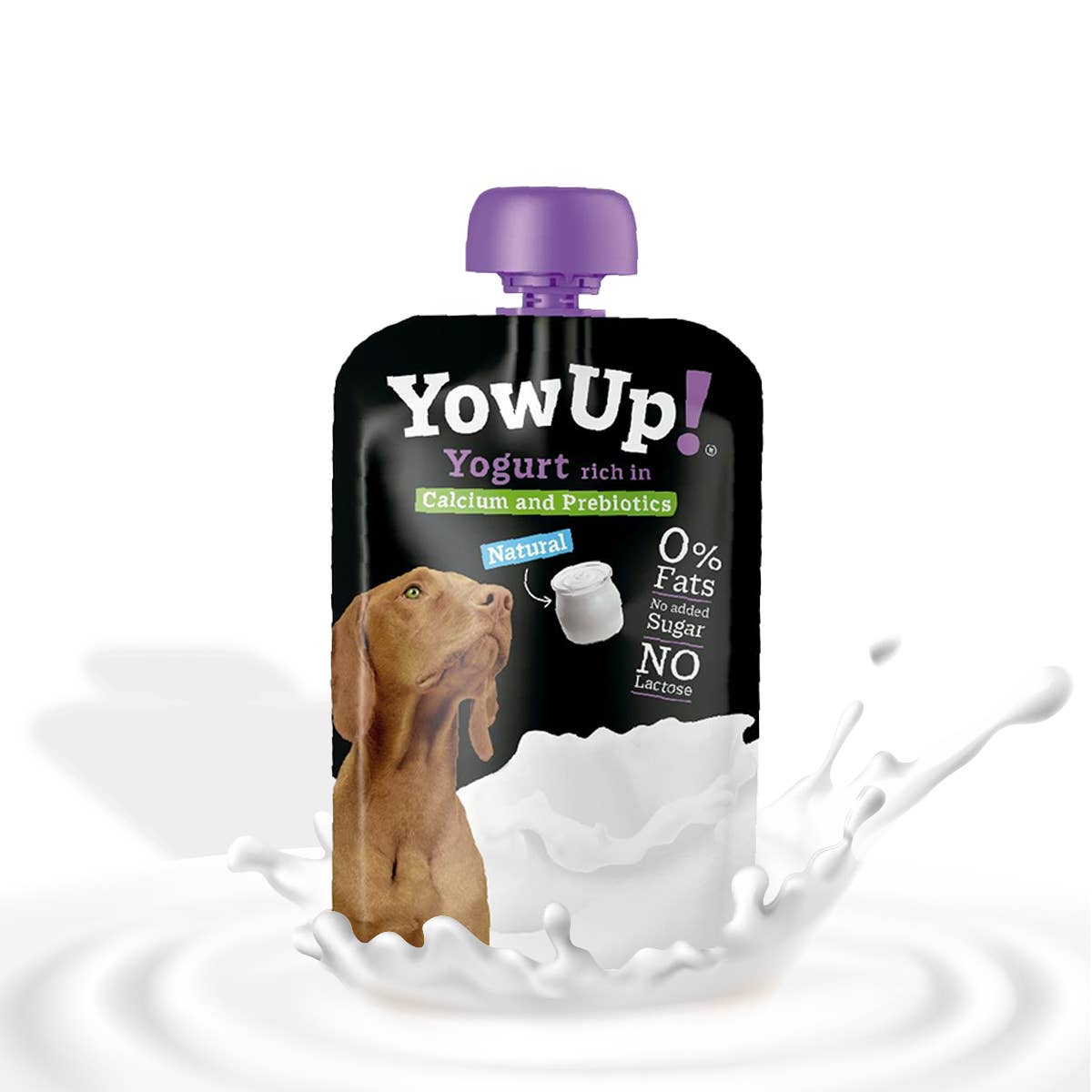 Yaourt sans lactose YowUp pour chiens - Prébiotique