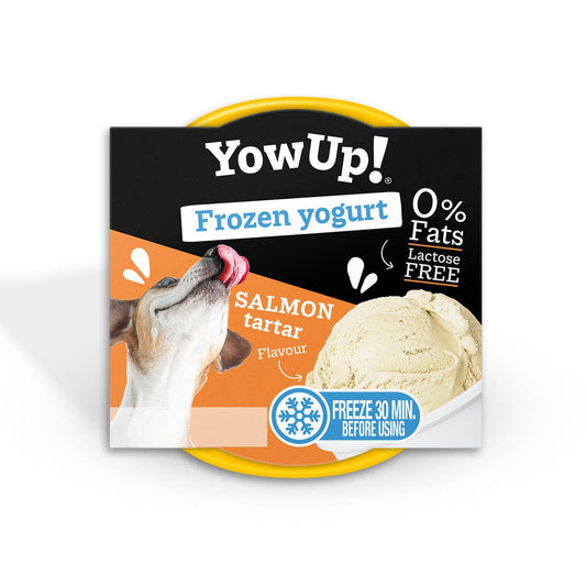 Crème glacée YowUp au saumon -Sans Lactose