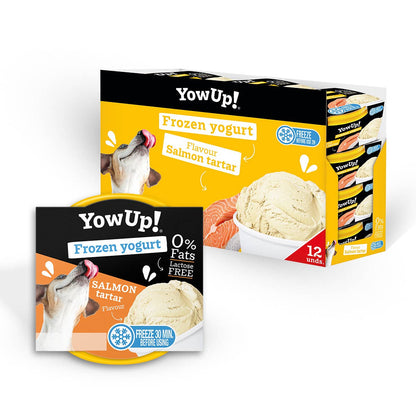 Crème glacée YowUp au saumon -Sans Lactose