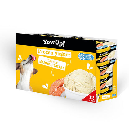 Crème glacée YowUp au saumon -Sans Lactose